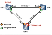 STP簇［MR衍生］-交换云生
