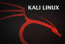 网络安全Kali Linux精品全套视频教程-交换云生